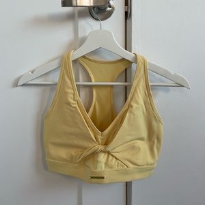 Whitney Simmons polen sport bra